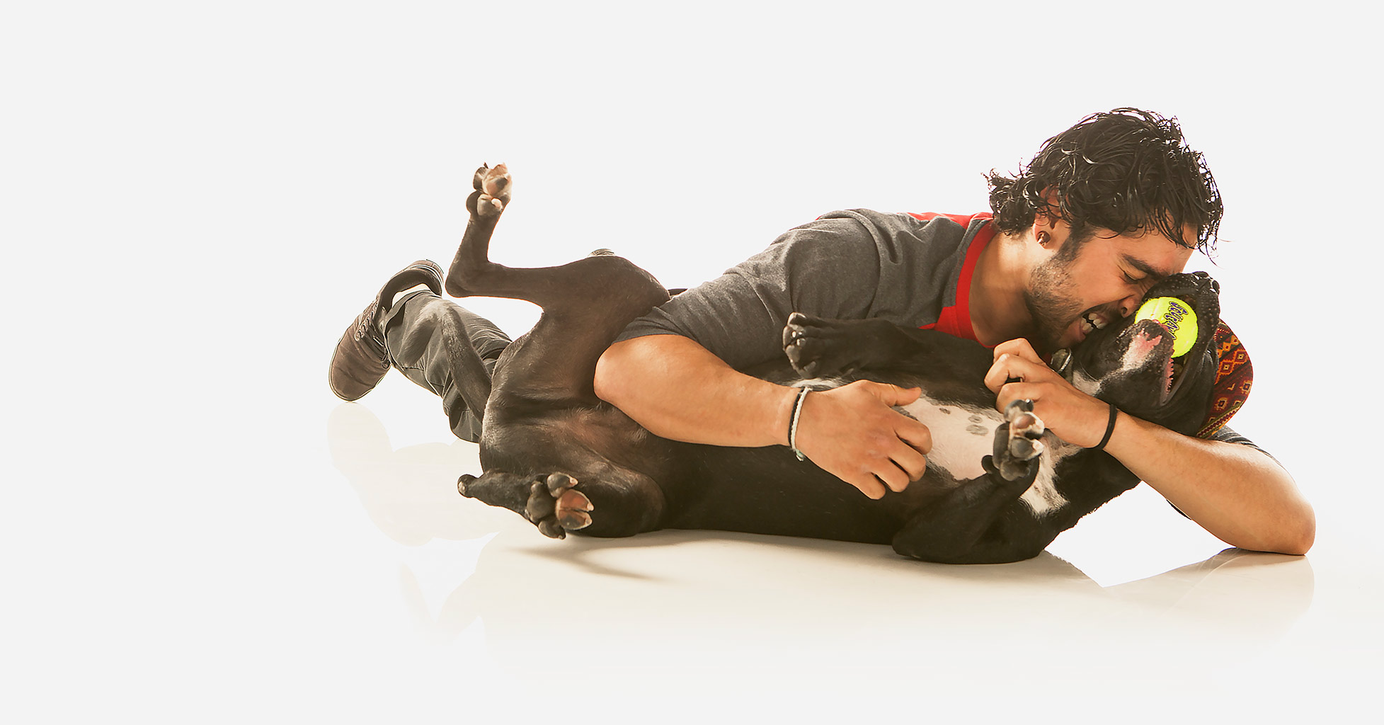 PetVet Contact, Joey and dog wrestling